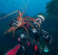 Rottnest Island Deep Dive Day Trips - C Tourism