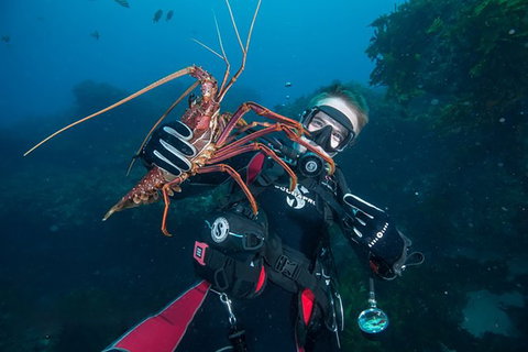 Rottnest Island Deep Dive Day Trips - C Tourism 0