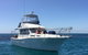 Scuba Dive The Beautiful Rottnest Island - thumb 4