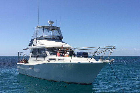 Scuba Dive The Beautiful Rottnest Island - C Tourism 4
