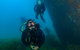 Scuba Dive The Beautiful Rottnest Island - thumb 0