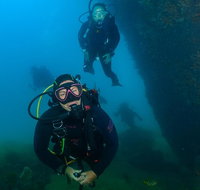 Scuba Dive The Beautiful Rottnest Island - C Tourism