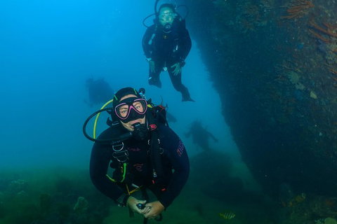 Scuba Dive The Beautiful Rottnest Island - C Tourism 0