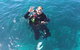 Scuba Dive The Beautiful Rottnest Island - thumb 5