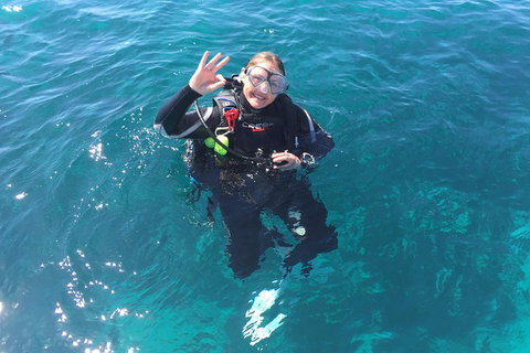 Scuba Dive The Beautiful Rottnest Island - C Tourism 5