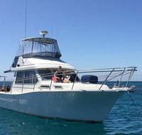 Single Boat Dive - C Tourism