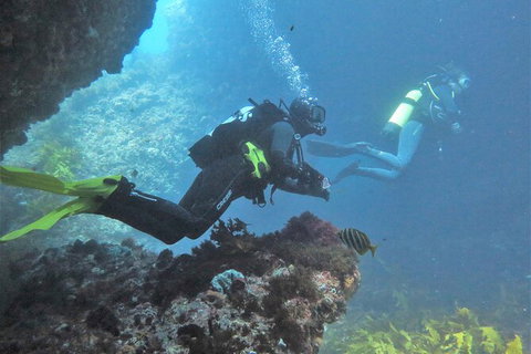 Single Boat Dive - C Tourism 2