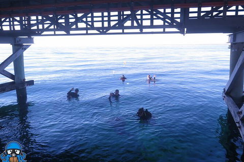 PADI Open Water Course - C Tourism 3
