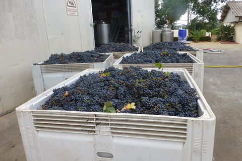 A Taste Of Margaret River Luxury Wine Tour - C Tourism 3