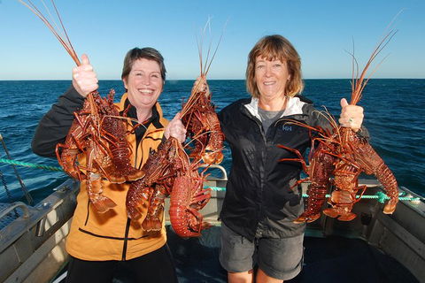 Abrolhos Islands 5 Day Tours - C Tourism 1
