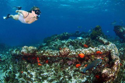 Abrolhos Islands 5 Day Tours - C Tourism 3