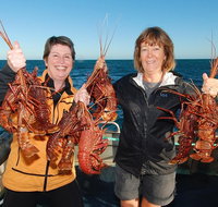 Abrolhos Islands 5 Day Tours - C Tourism