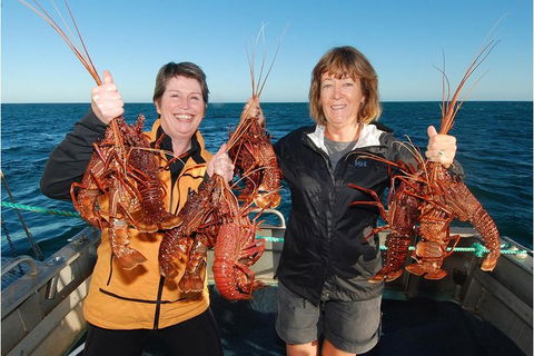 Abrolhos Islands 5 Day Tours - C Tourism 0