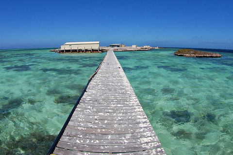 Abrolhos Islands 5 Day Tours - C Tourism 4