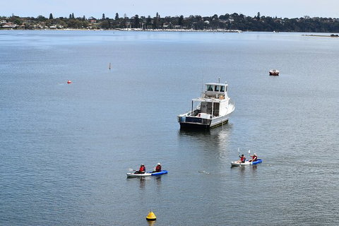 Cliffs And Caves Kayak Tour In Swan River - C Tourism 5