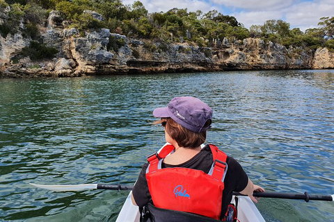 Cliffs And Caves Kayak Tour In Swan River - C Tourism 1