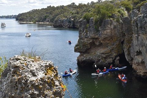 Cliffs And Caves Kayak Tour In Swan River - C Tourism 2
