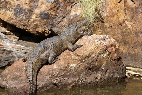 Ord River Experience With Riverside Lunch - C Tourism 2