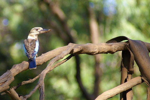 Ord River Experience With Riverside Lunch - C Tourism 1