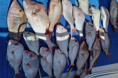 Geraldton Fishing Charter - C Tourism 7
