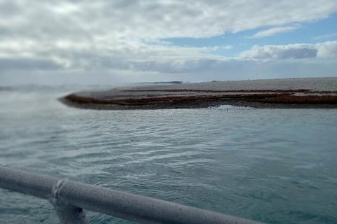 Abrolhos Islands Fishing Charter - C Tourism 6