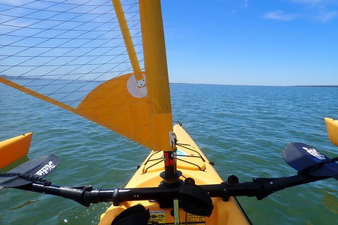 Sailing Kayak Adventure Through The Peel Harvey Estuary - C Tourism 2