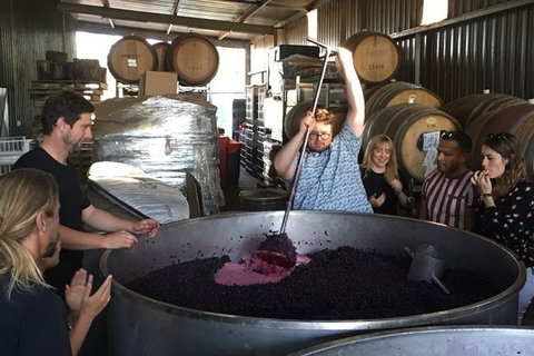 Margaret River Beer & Wine Adventure (departs Margaret River) - C Tourism 10