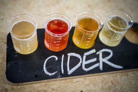 Bickley Valley Wine & Cider Tour - Premium Small Group Tour - C Tourism 1