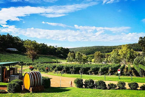Bickley Valley Wine & Cider Tour - Premium Small Group Tour - C Tourism 0