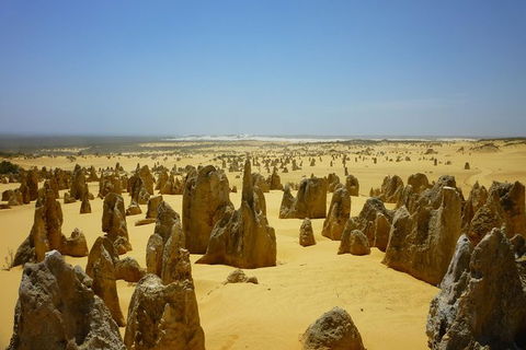 Pinnacles Desert Private Tour - C Tourism 5