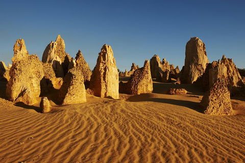 Pinnacles Desert Private Tour - C Tourism 0