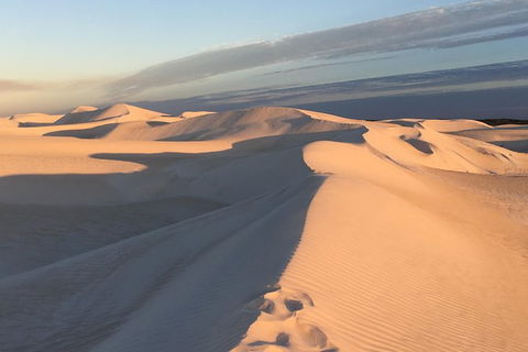 Pinnacles Desert Private Tour - C Tourism 2