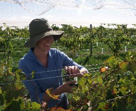 Kingsdale Wines - C Tourism 0