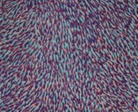 The Gate Gallery - Wollombi - C Tourism 0