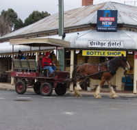 Bathurst Farm Experience - C Tourism