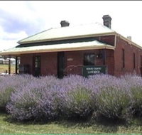 Lavender House in Railway Park - C Tourism
