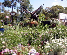 Zanthorrea Nursery - C Tourism 0