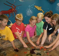 Naturaliste Marine Discovery Centre - C Tourism