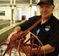 Lobster Shack - C Tourism