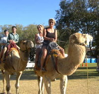 Calamunnda Camel Farm - C Tourism