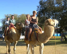 Calamunnda Camel Farm - C Tourism 0