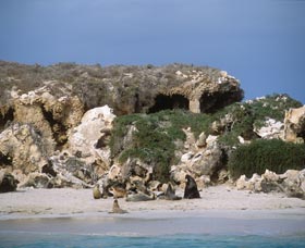 Jurien Bay WA C Tourism