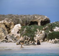 Jurien Bay Marine Park - C Tourism