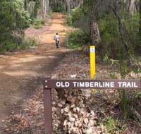 Old Timberline and Sidings Rail Trails - C Tourism