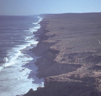 Useless Loop - C Tourism