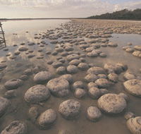 Lake Clifton Thrombolites - C Tourism