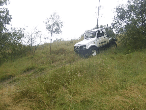 Scenic Rim Adventure Park - C Tourism 1
