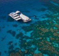 Great Adventures Reef and Green Island Cruises - C Tourism