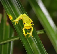 Daintree River Cruise Centre - C Tourism