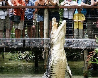 Wangetti QLD C Tourism